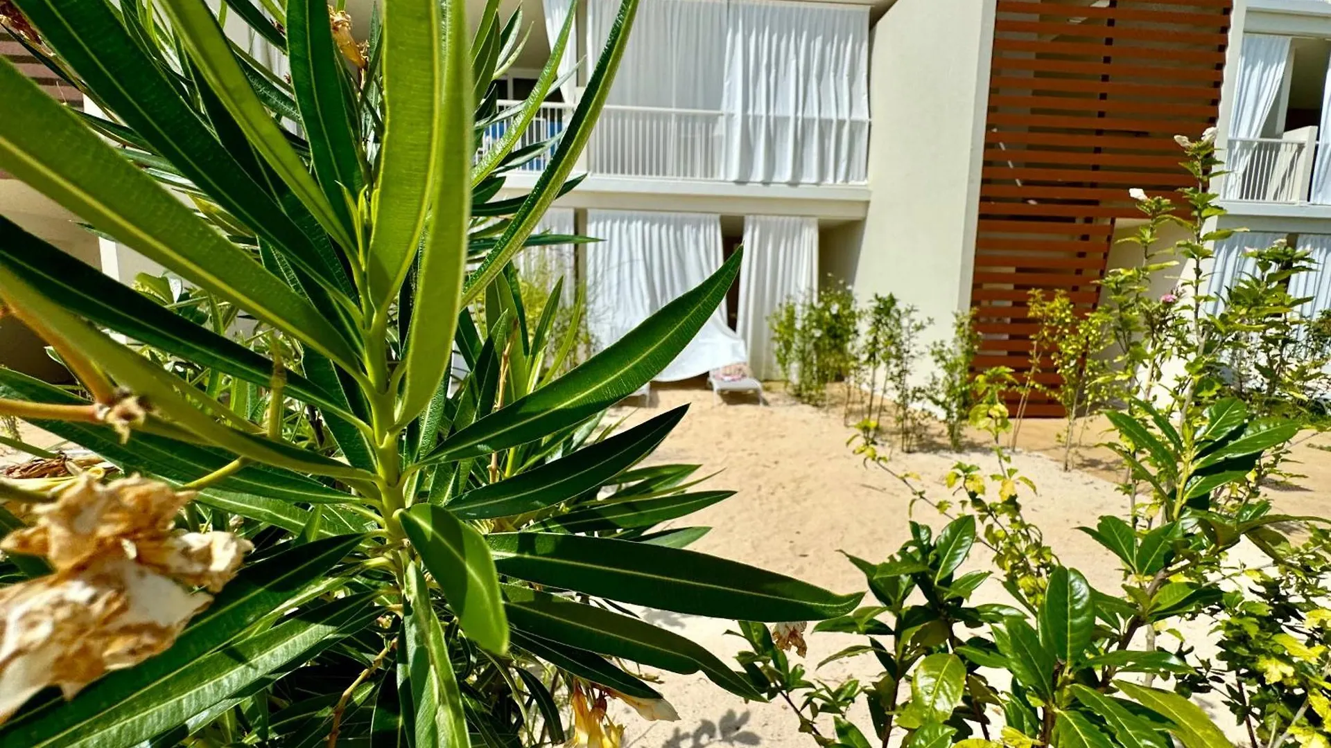 Ginevra Vittoria'S House - Wave Island - Jesolo Lido Lägenhet Lido di Jesolo
